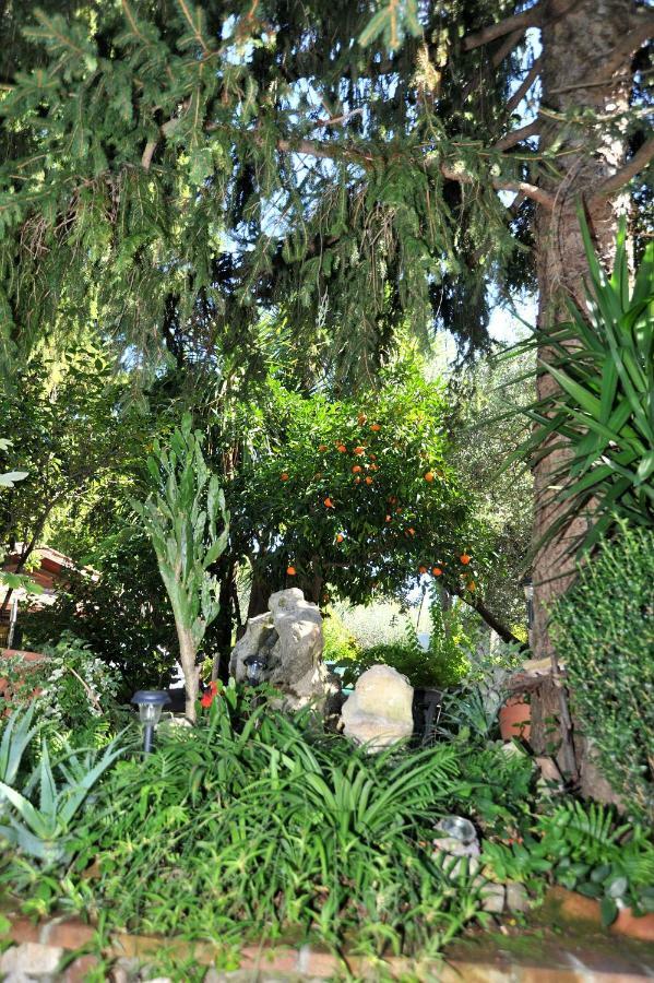 ヴェッレトリ Casa Pontecorvi Bed & Breakfast エクステリア 写真