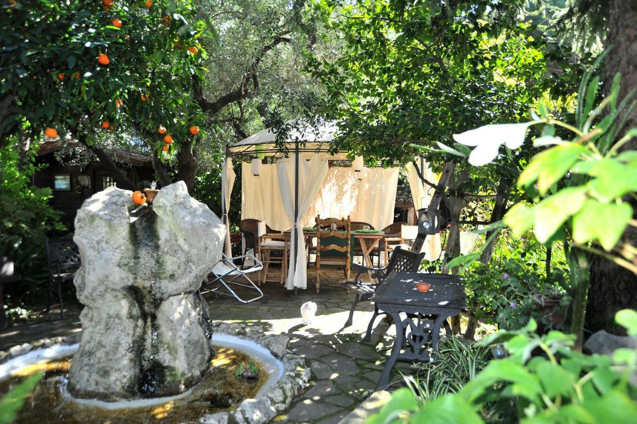 ヴェッレトリ Casa Pontecorvi Bed & Breakfast エクステリア 写真